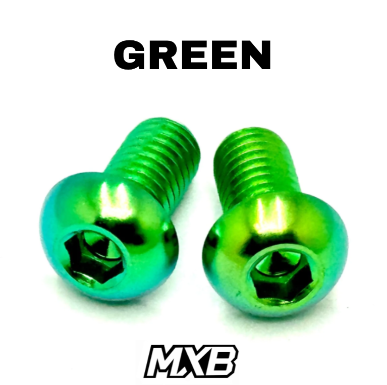 Ultra Bee Brake Mount Titanium Bolts
